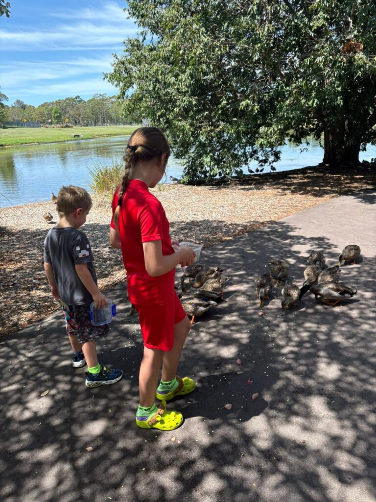 Children feeding ducks by a lake during Emergency Respite Care in NSW outdoor activity.